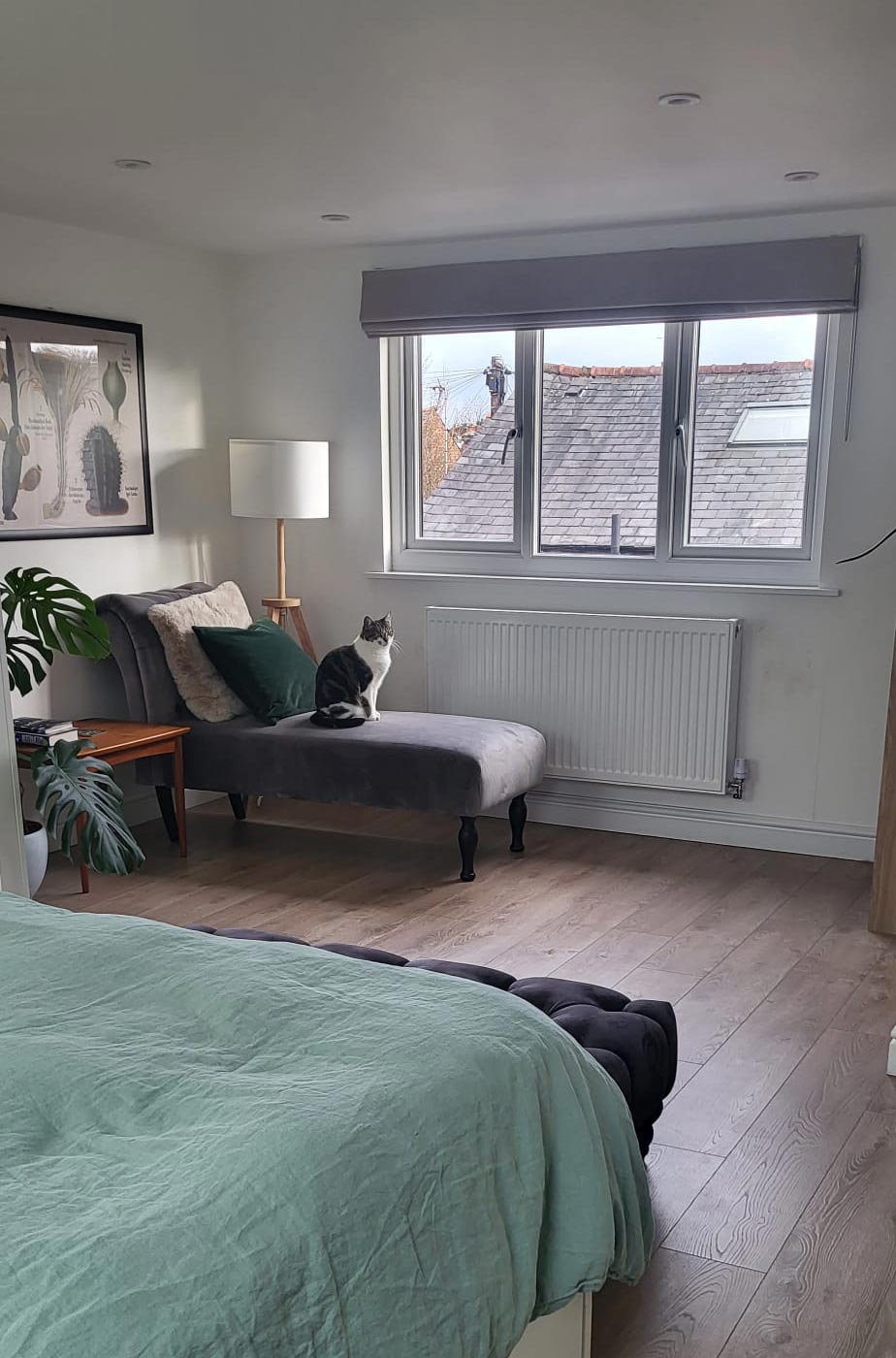 Loft Conversions